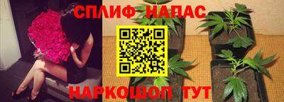 ПСИЛОЦИБИНОВЫЕ ГРИБЫ Дубна